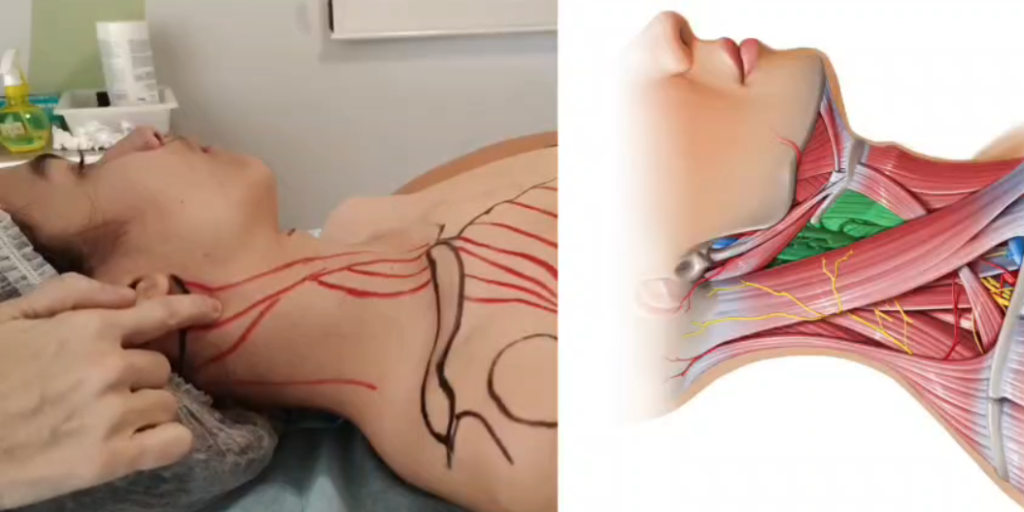 captura de tela 2026 02 04 141135